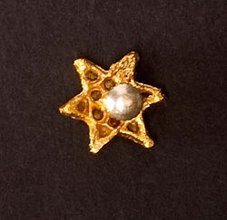 インドの鼻ピアス（大） - サブ3