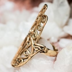 ハムサのゴールドリング - サブ2