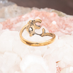 オーンのゴールドリング - サブ3