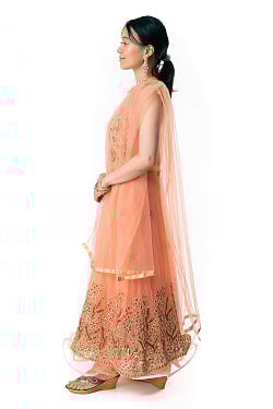 【※胸肩回りタイトです】インドのゴージャスパンジャビ・ドレスセット - サブ5