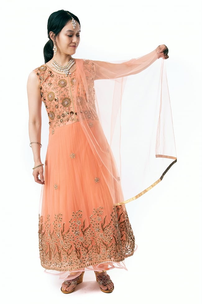 【※胸肩回りタイトです】インドのゴージャスパンジャビ・ドレスセット 7 - 広げてみました。ショールの透け感が美しいです。