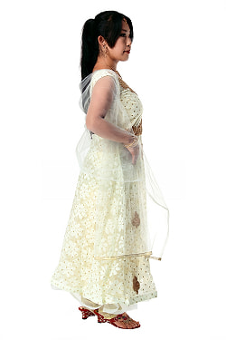 【※胸肩回りタイトです】インドのゴージャスパンジャビ・ドレスセット - サブ5