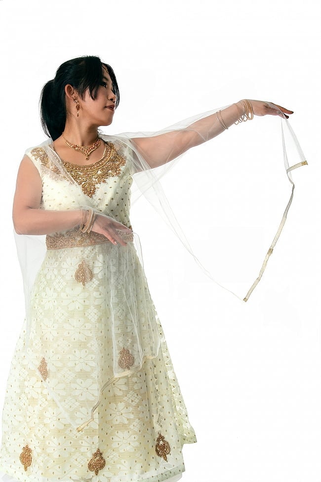 【※胸回りタイトです・返品不可】インドのゴージャスパンジャビ・ドレスセット 7 - 広げてみました。ショールの透け感が美しいです。