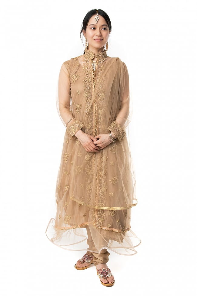 【※胸回りタイトです・返品不可】インドのゴージャスパンジャビ・ドレスセットの写真1枚目です。インドの王妃を思わせる美しいドレスです。ドレス,　インド　ドレス,パンジャビドレス,パンジャービードレス,サルワール・カミーズ