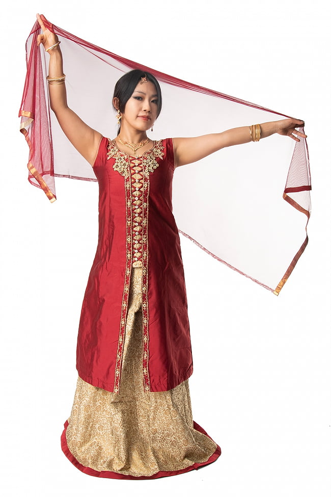 【※胸肩回りタイトです】インドのゴージャスパンジャビ・ドレスセット 7 - 広げてみました。ショールの透け感が美しいです。