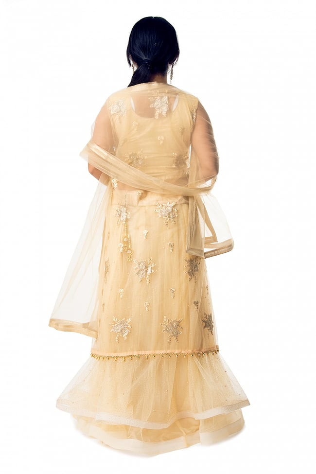 インドのレヘンガドレスセット 4 - 胸元をアップにしてみました。ゴージャスで素敵です。