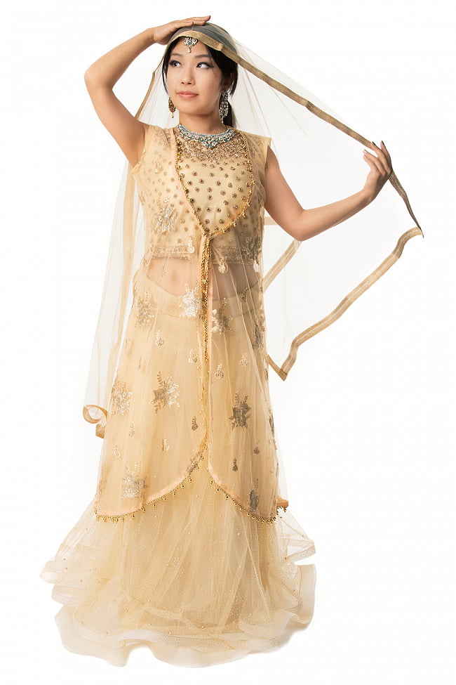 インドのレヘンガドレスセットの写真1枚目です。上下セットにショールが付属しますドレス,　インド　ドレス,パンジャビドレス,パンジャービードレス,サルワール・カミーズ