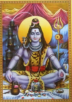 シヴァ の通販 - TIRAKITA.COM