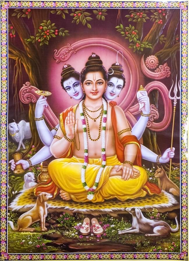 ダッタートレーヤ の通販 - TIRAKITA.COM