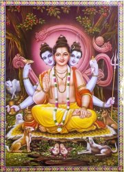 ダッタートレーヤの商品写真