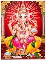 ID-PFLM-57の評価写真