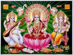 サラスバティの商品一覧 Tirakita Com