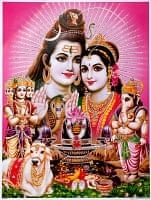 ID-PFLM-57の評価写真