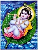 ID-PFLM-57の評価写真