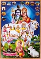 〔約70.5cm×約50cm〕大判インドのヒンドゥー神様ポスター - 聖牛とインドの神様の商品写真