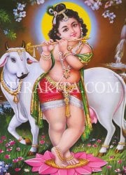 【特大ポスター】クリシュナ少年時代(ID-PSTB-39)