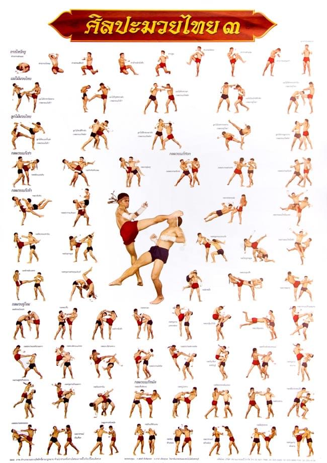 ムエタイ技一覧表 タイの教育ポスター の通販 Tirakita Com