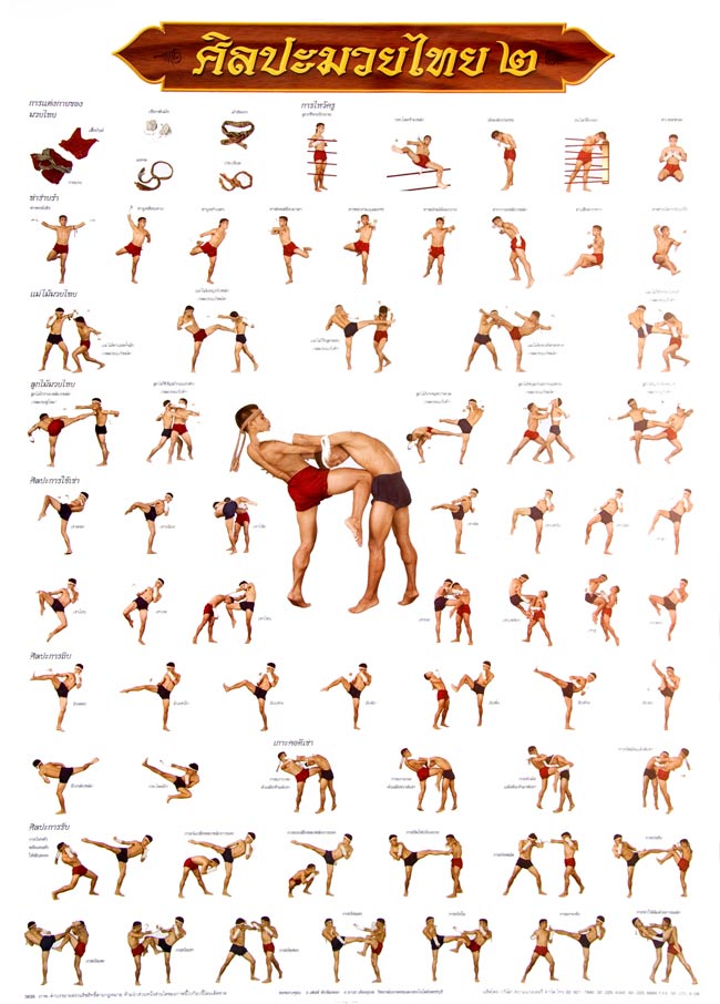 ムエタイ技一覧表 タイの教育ポスター の通販 Tirakita Com