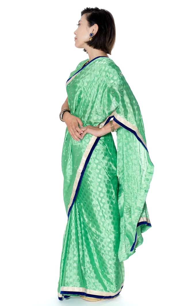 ビーズ刺繍のリーフ柄マハラニインドサリー【チョリ付き】 - 薄緑 2 - 横からの写真です