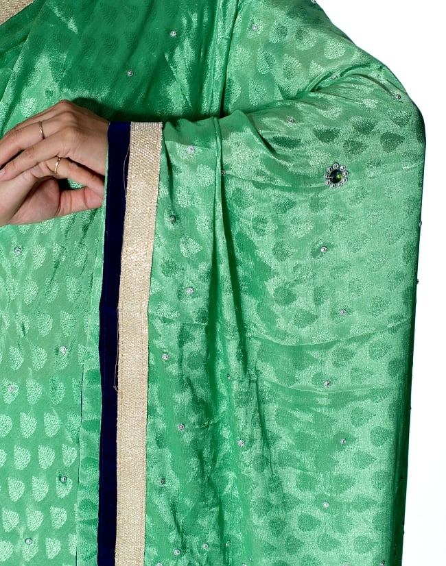 ビーズ刺繍のリーフ柄マハラニインドサリー【チョリ付き】 - 薄緑 6 - とても綺麗なサリーです