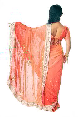 刺繍とビジューのグラデーション サリー【チョリ付き】 - サブ3