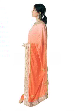 刺繍とビジューのグラデーション サリー【チョリ付き】 - サブ4