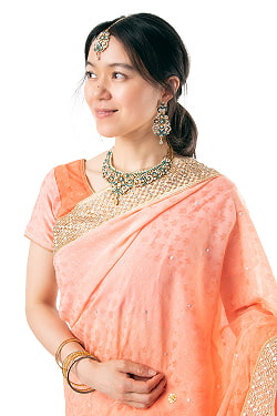 刺繍とビジューのグラデーション サリー【チョリ付き】 - サブ5