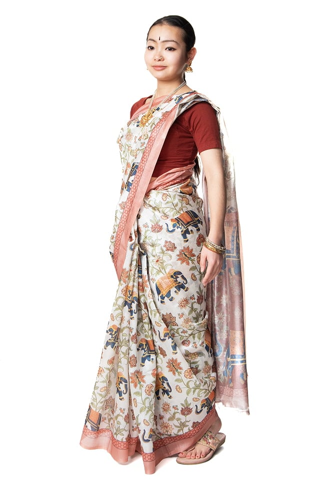 ムガル風 レトロ調 アニマル×ボタニカルプリントサリーの写真