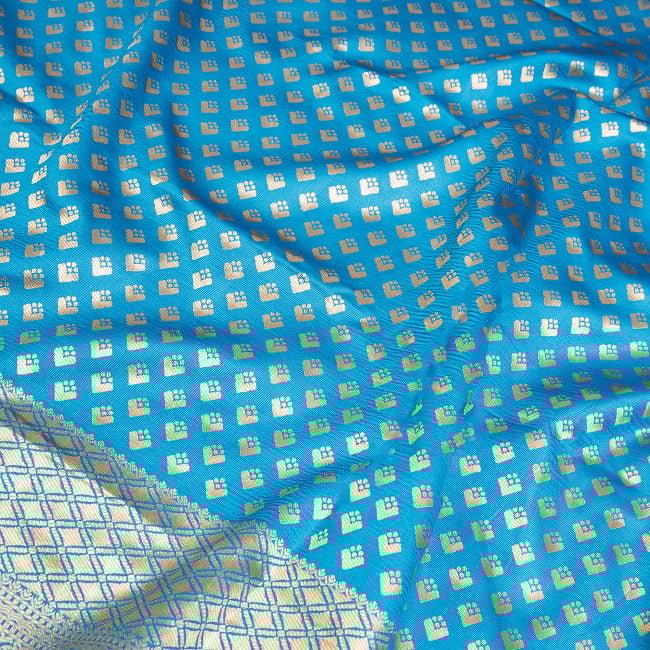 マハラニ風　ゴールデンボーダーのゴージャスサリー 10 - ボディ部分の柄をアップにしてみました