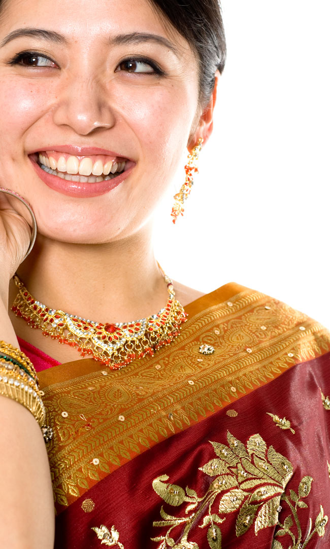 ベナレスのインドサリー【金糸刺繍ゴージャス】 えんじ 4 - 胸元をアップにしてみました。