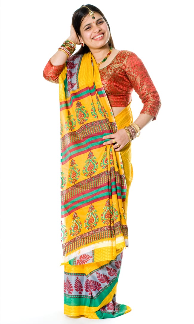 インドサリー【ペイズリー】 全4色 の通販 - TIRAKITA.COM