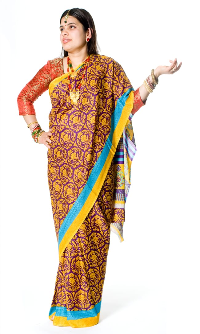 インドサリー【ペイズリー】 全4色の写真