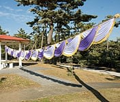 【売り切り特価】[5m]結婚式・イベント用デコレーション布[紫と白]の商品写真