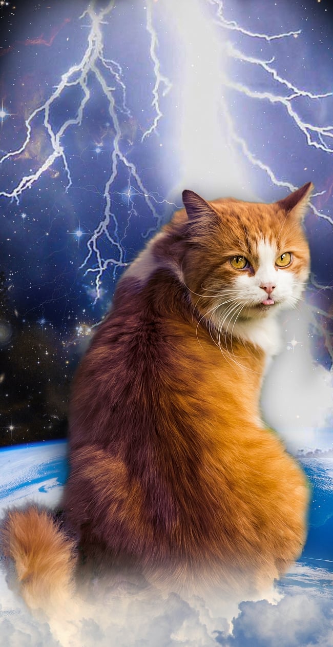 宇宙猫スマホケース - 降臨【ティラキタオリジナルSony Xperia XZケース】の写真1枚目です。デザインの拡大ですSony Xperia、XperiaXZ、エクスペリアXZ、エクスペリア、スマホ、スマホ ケース