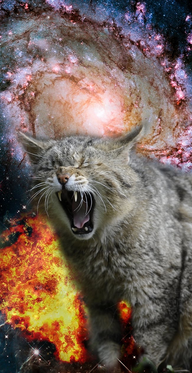 宇宙猫スマホケース - コズミックアクビ【ティラキタオリジナルiPhoneXケース】の写真1枚目です。デザインの拡大ですiPhone、iPhoneX、スマホ、スマホ ケース