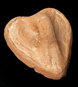 【レア品】素焼きの洗濯ブラシ - サブ2