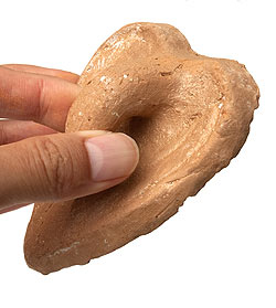 【レア品】素焼きの洗濯ブラシ - サブ5