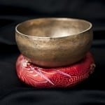 ID-SINGBOWLANT-1888の評価写真