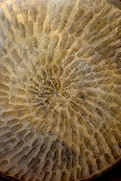 ベトナムのゴング（銅鑼）約20cm - サブ2