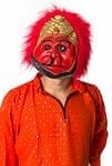 【インド品質】ホラーハヌマーンマスク お面 仮装の商品写真