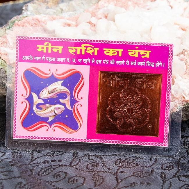 インド占星術の星座カード　ミーナ座　（魚座）の写真