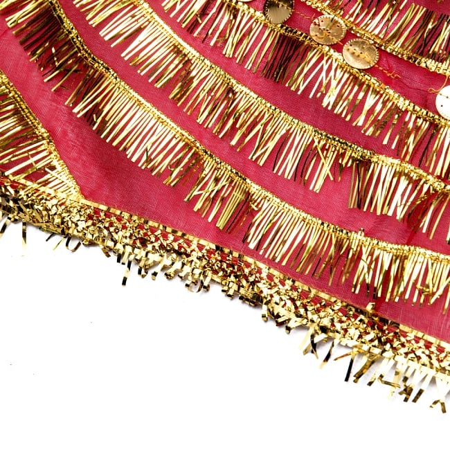 インドの祭壇布ーチュナリ-【約210cm×約90cm】 4 - 端の部分はフリンジになっています。