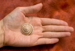 ヴィシュヌチャクラ - サブ4