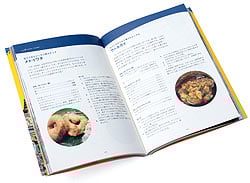 南インドカルチャー見聞録 - サブ3