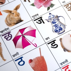 インドの学習ポスター - デーヴァナーガリーの学習[大] - サブ3