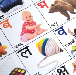 インドの学習ポスター - デーヴァナーガリーの学習[大] - サブ4