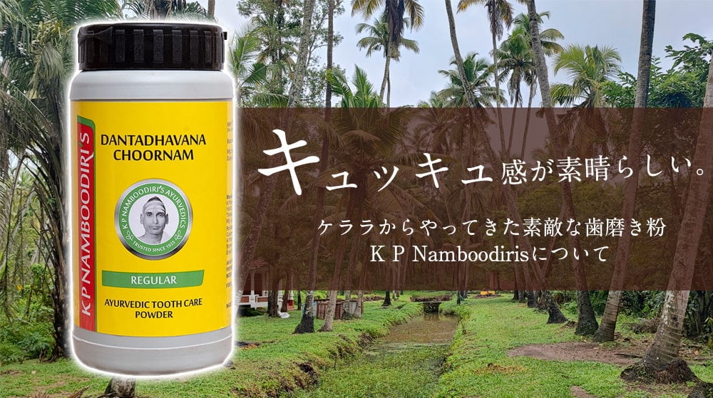 【15g】ナンブーディリ ダンダヴァナ チュルナム 歯磨き粉 - K P Namboodiri