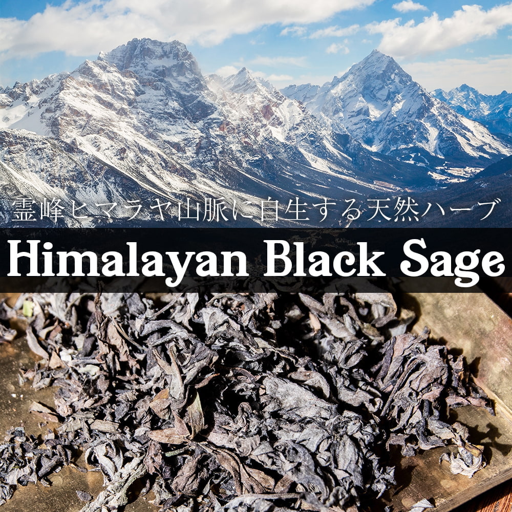 ヒマラヤン ブラック セージ 神聖なるヒマラヤ山脈に自生する天然のハーブ　スマッジング　浄化1枚目の説明写真です
