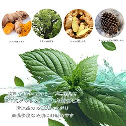 マダム・ヘン　オリジナル　ソープ - MADAME HENG ORIGINAL SOAP 45G - サブ2