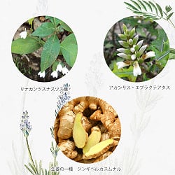 ＤＲ．ＪＥＮＧ　クリーン　ボタニカル　ソープ - DR. JENG CLEAN SOAP 150G - サブ2